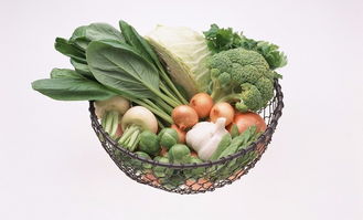 全国护肝日 记好四个“五”，这篇“护肝宝”让您受益终生