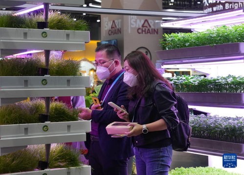 进博会上的科技农业 集装箱里的绿色革命